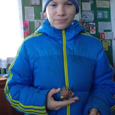 В МИРЕ ЖИВОТНЫХ 3 В МИРЕ ЖИВОТНЫХ 3