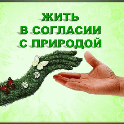 Живи  в  содружестве  с  природой 7