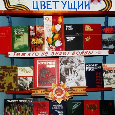 Я читаю книги о войне 0