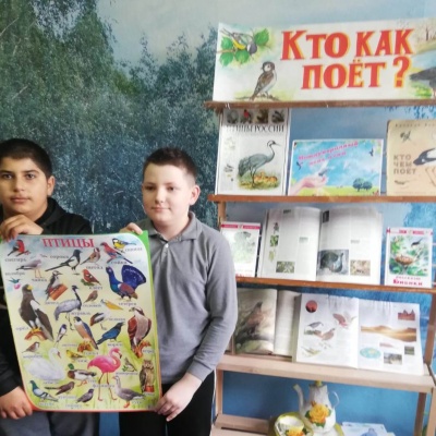 УДИВИТЕЛЬНЫЙ МИР ПТИЦ! 3 УДИВИТЕЛЬНЫЙ МИР ПТИЦ! 3