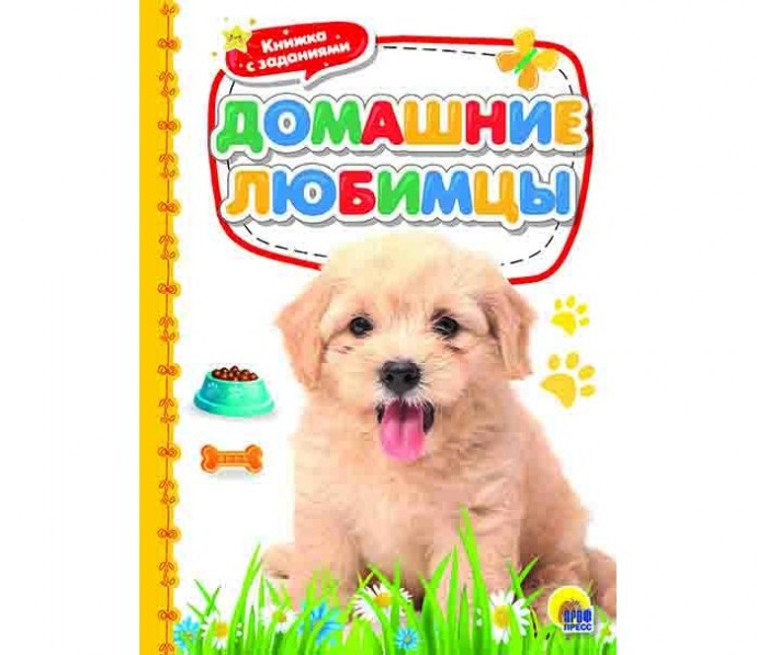 НАШИ ДОМАШНИЕ ЛЮБИМЦЫ