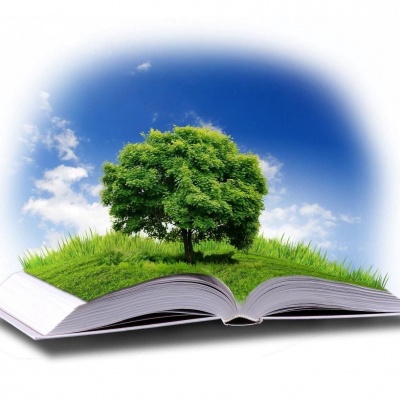 Загадки природы 0 Загадки природы 0