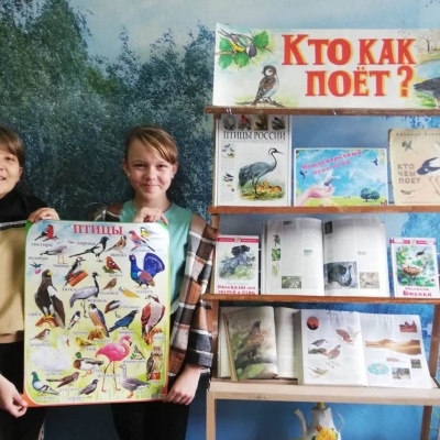 УДИВИТЕЛЬНЫЙ МИР ПТИЦ! 1 УДИВИТЕЛЬНЫЙ МИР ПТИЦ! 1