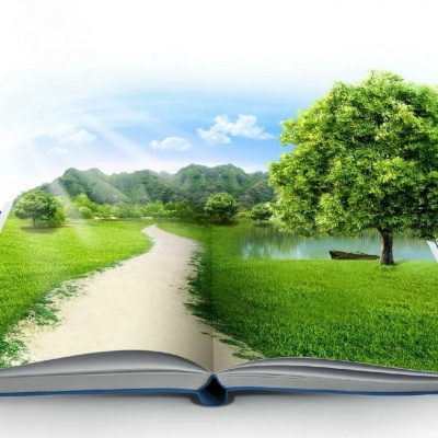 ЭКОЛОГИЯ. БЕЗОПАСНОСТЬ. ЖИЗНЬ. 0