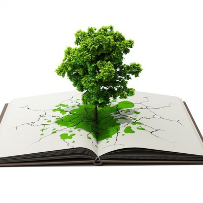 Как все взаимосвязано в природе 0 Как все взаимосвязано в природе 0