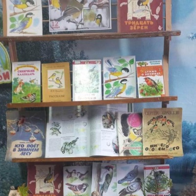 Синичкин день 1 Синичкин день 1