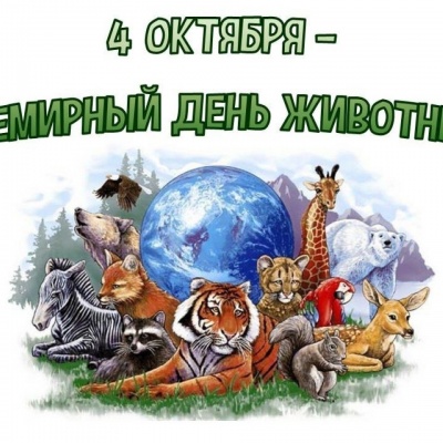 В МИРЕ ЖИВОТНЫХ 0 В МИРЕ ЖИВОТНЫХ 0