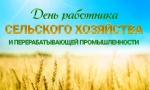 Земной поклон вам, хлеборобы! Земной поклон вам, хлеборобы!