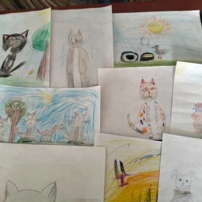 НАШИ ДОМАШНИЕ ЛЮБИМЦЫ 5 НАШИ ДОМАШНИЕ ЛЮБИМЦЫ 5