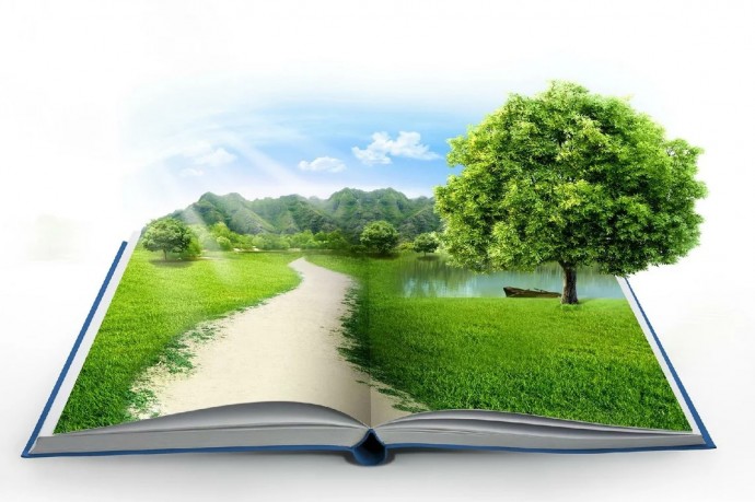 ЭКОЛОГИЯ. БЕЗОПАСНОСТЬ. ЖИЗНЬ.