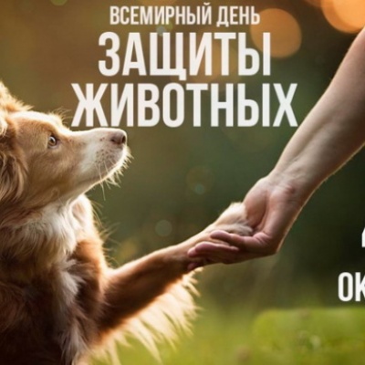 В их глазах блестит надежда и тепло 0