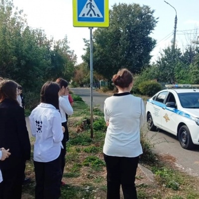 ШКОЛА ПЕШЕХОДА 7 ШКОЛА ПЕШЕХОДА 7