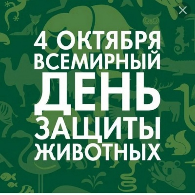 МИР ПЕРНАТЫХ И ЗВЕРЕЙ ЖДЁТ ПОДДЕРЖКИ ОТ ДРУЗЕЙ 0 МИР ПЕРНАТЫХ И ЗВЕРЕЙ ЖДЁТ ПОДДЕРЖКИ ОТ ДРУЗЕЙ 0