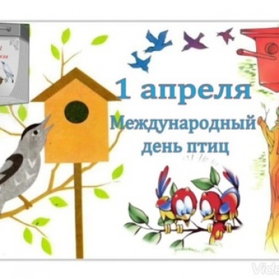 УДИВИТЕЛЬНЫЙ МИР ПТИЦ! 0 УДИВИТЕЛЬНЫЙ МИР ПТИЦ! 0