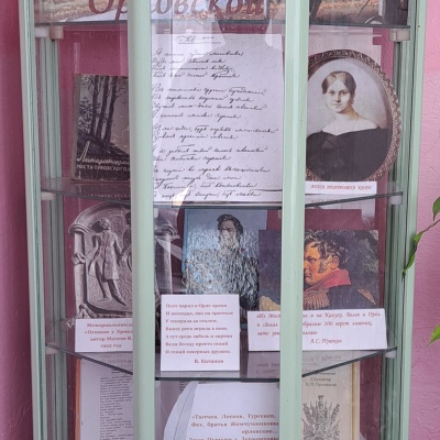 Живу  я,  Пушкина  читая 4