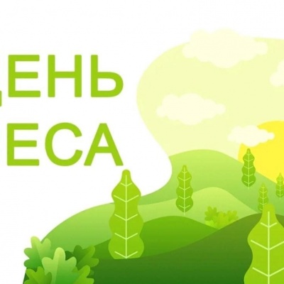 В гостях у зелёного друга 0