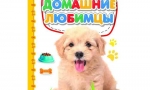 НАШИ ДОМАШНИЕ ЛЮБИМЦЫ НАШИ ДОМАШНИЕ ЛЮБИМЦЫ