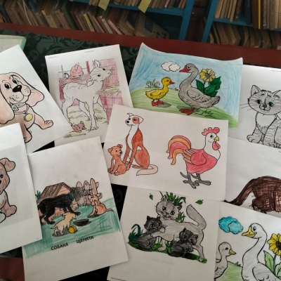 НАШИ ДОМАШНИЕ ЛЮБИМЦЫ 6 НАШИ ДОМАШНИЕ ЛЮБИМЦЫ 6