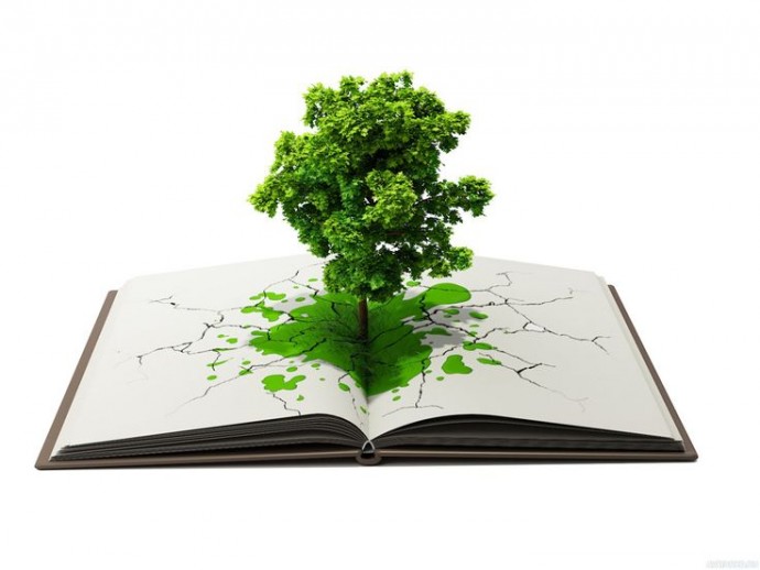 Как все взаимосвязано в природе