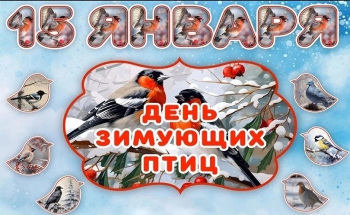 ДЕНЬ ЗИМУЮЩИХ ПТИЦ