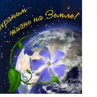 ПРИРОДА – НАШ ДОМ 0 ПРИРОДА – НАШ ДОМ 0