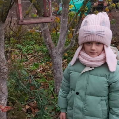 Синичкин день 7 Синичкин день 7