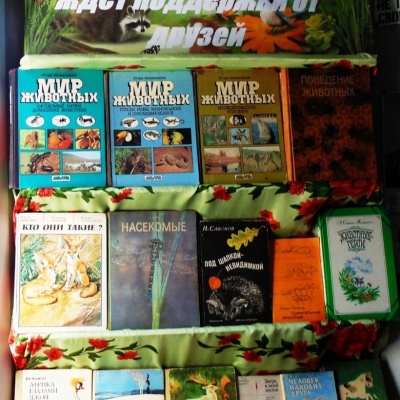 МИР ПЕРНАТЫХ И ЗВЕРЕЙ ЖДЁТ ПОДДЕРЖКИ ОТ ДРУЗЕЙ 1 МИР ПЕРНАТЫХ И ЗВЕРЕЙ ЖДЁТ ПОДДЕРЖКИ ОТ ДРУЗЕЙ 1