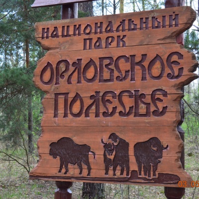Орловское полесье 1 Орловское полесье 1