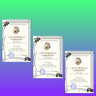 Пушкинский герой в моём представлении 9