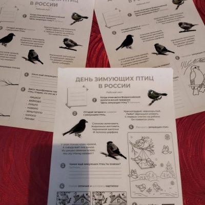 ДЕНЬ ЗИМУЮЩИХ ПТИЦ 7 ДЕНЬ ЗИМУЮЩИХ ПТИЦ 7