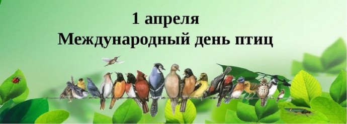 Наши крылатые друзья