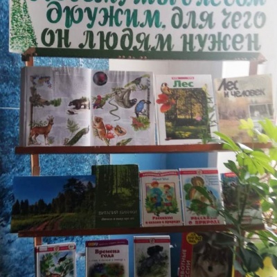 В гостях у зелёного друга 4