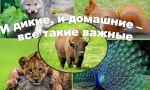 И ДИКИЕ, И ДОМАШНИЕ – ВСЕ ТАКИЕ ВАЖНЫЕ И ДИКИЕ, И ДОМАШНИЕ – ВСЕ ТАКИЕ ВАЖНЫЕ
