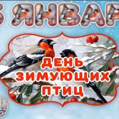 ДЕНЬ ЗИМУЮЩИХ ПТИЦ 0 ДЕНЬ ЗИМУЮЩИХ ПТИЦ 0