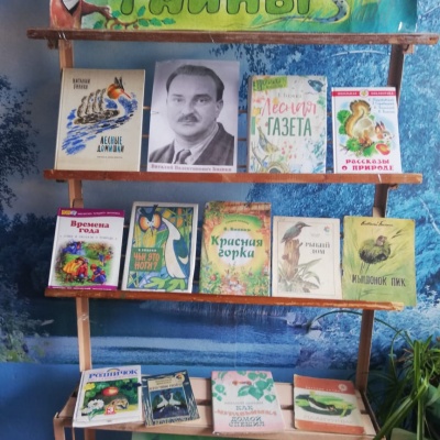 Лесные загадки Виталия Бианки 0