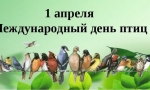 Наши крылатые друзья