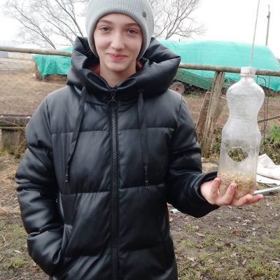 Синичкин день 5 Синичкин день 5